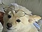 *I don't respond quickly to DMs*
There is no diversity without Grace.