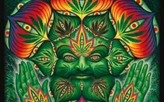Smoke tree's an solve every problem. #420 #Stoner #KushMan