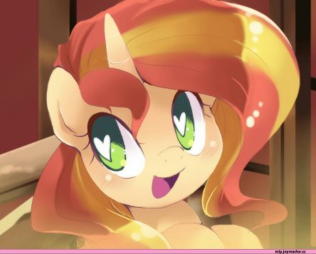 Brony //Youtuber//Sunset lover