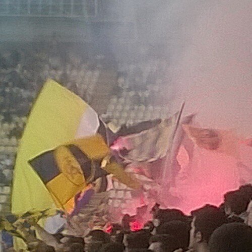 69_ascari's profile picture. 