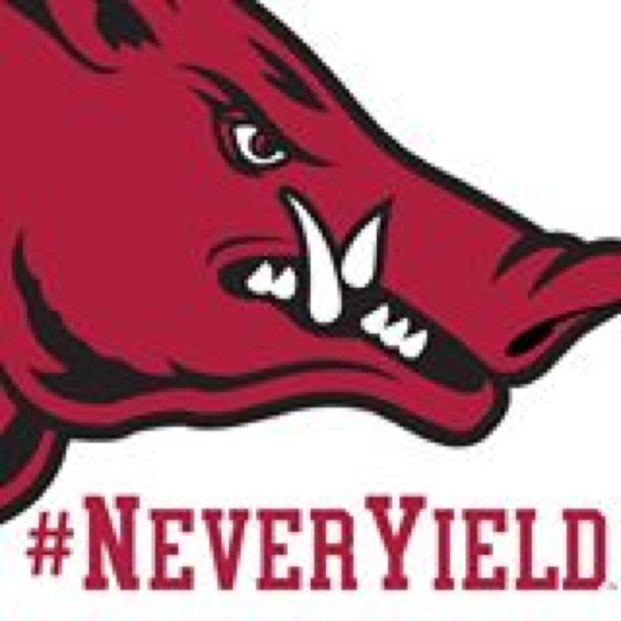 ImaHog's profile picture. 