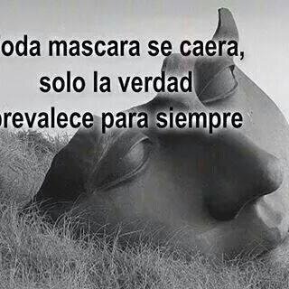 sebastianabre13's profile picture. CUANDO SE CUMPLAN LAS PALABRA TODO ACABARA.