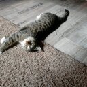 Paul Severin - @bestoftab - Twitter