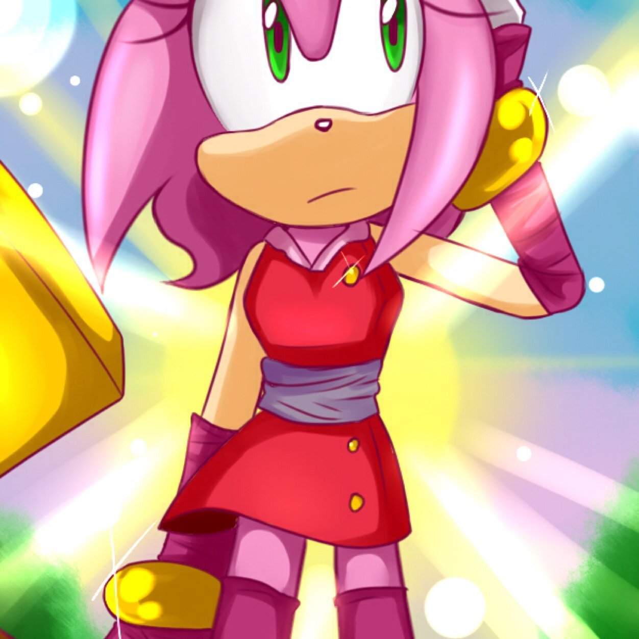 My name is amyrose i am with teamsonic with sonic and tails and big hammer and i like to be your friend and sister and follow me and follow back