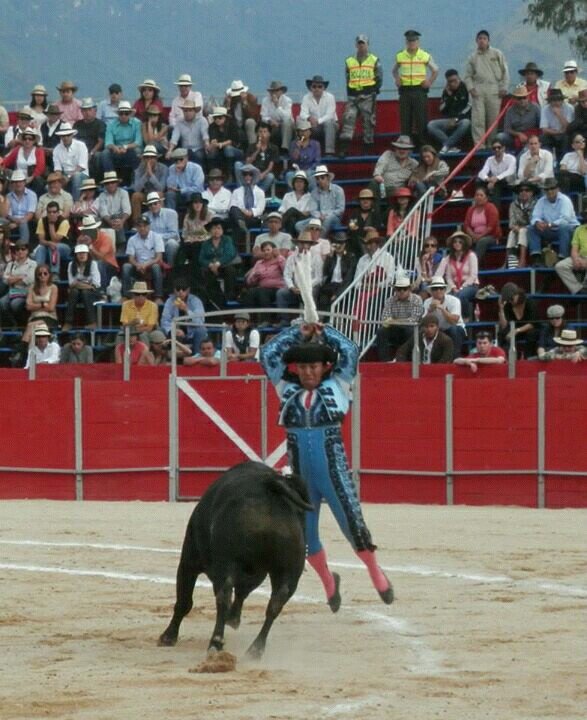 Torero, Ing. en Sistemas, enamorado de mi familia gracias Dios.....
