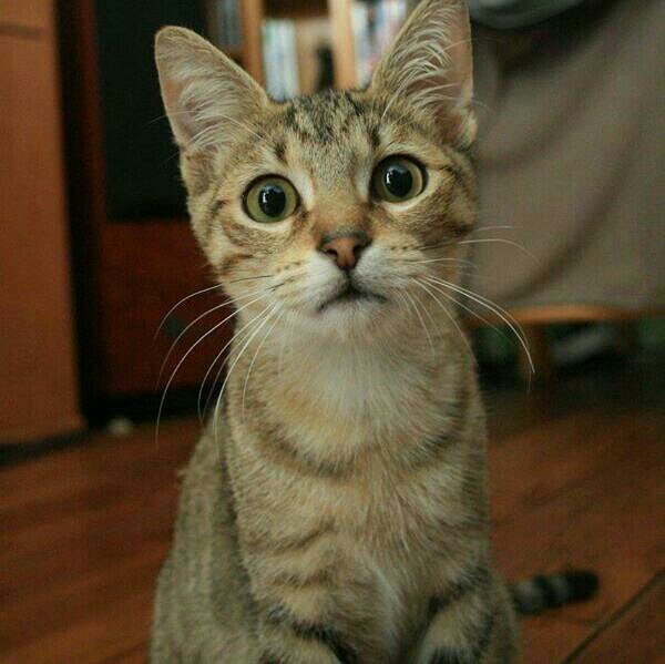 fifilomene's profile picture. 