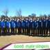 Good Male Singers (@gudmalesingers) Twitter profile photo