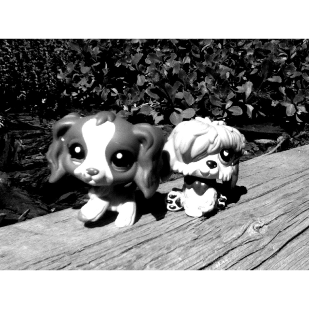 Hi! Its sassy_lps from instgram! Thnks for visting my page!