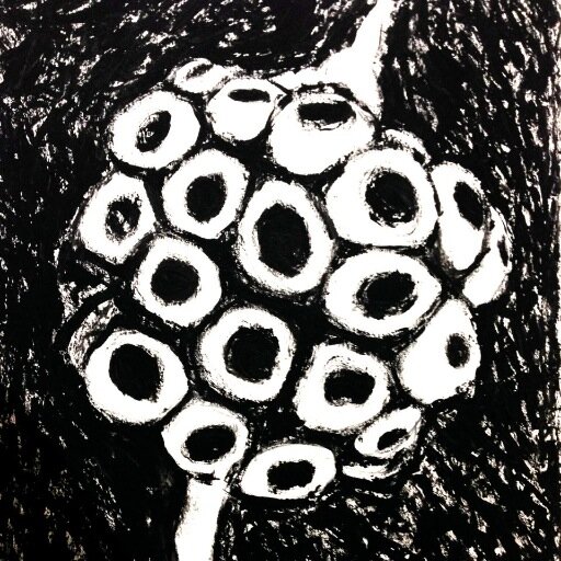 Visual Artist - Facilitator @
Homage to the Seed project:
Art, Seeds, & Bio {cultural} diversity. Visit Brisbane STUDIO: seed.art.lab by appointment!