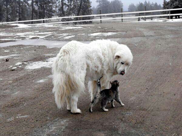 moonjung31's profile picture. 