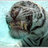 chargetiger's profile image
