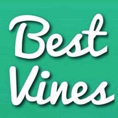 Posting The Funniest & Most Clever Vines! *Original Fan/Parody Account* NOT Affiliated With @VineApp. We Do Not Own The Vines That Are Posted!