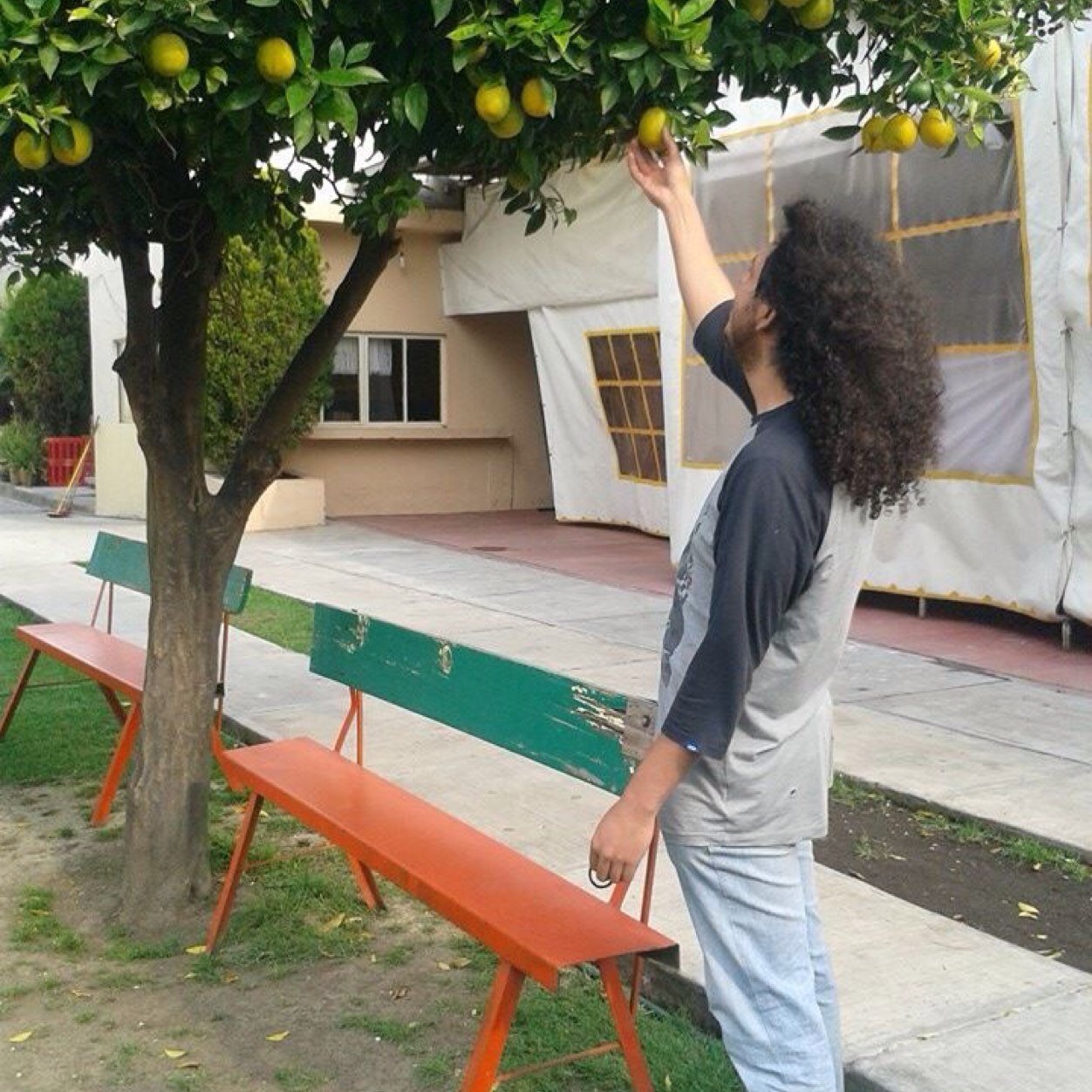 Historiador (pronto), amante de la música y tecladista de @theatomicbells