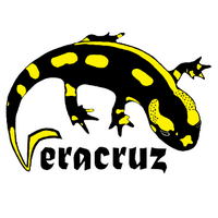 Association Veracruz (@asso_veracruz) 's Twitter Profile