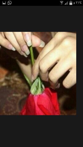 تم حذف الحساب استودعتكم الله