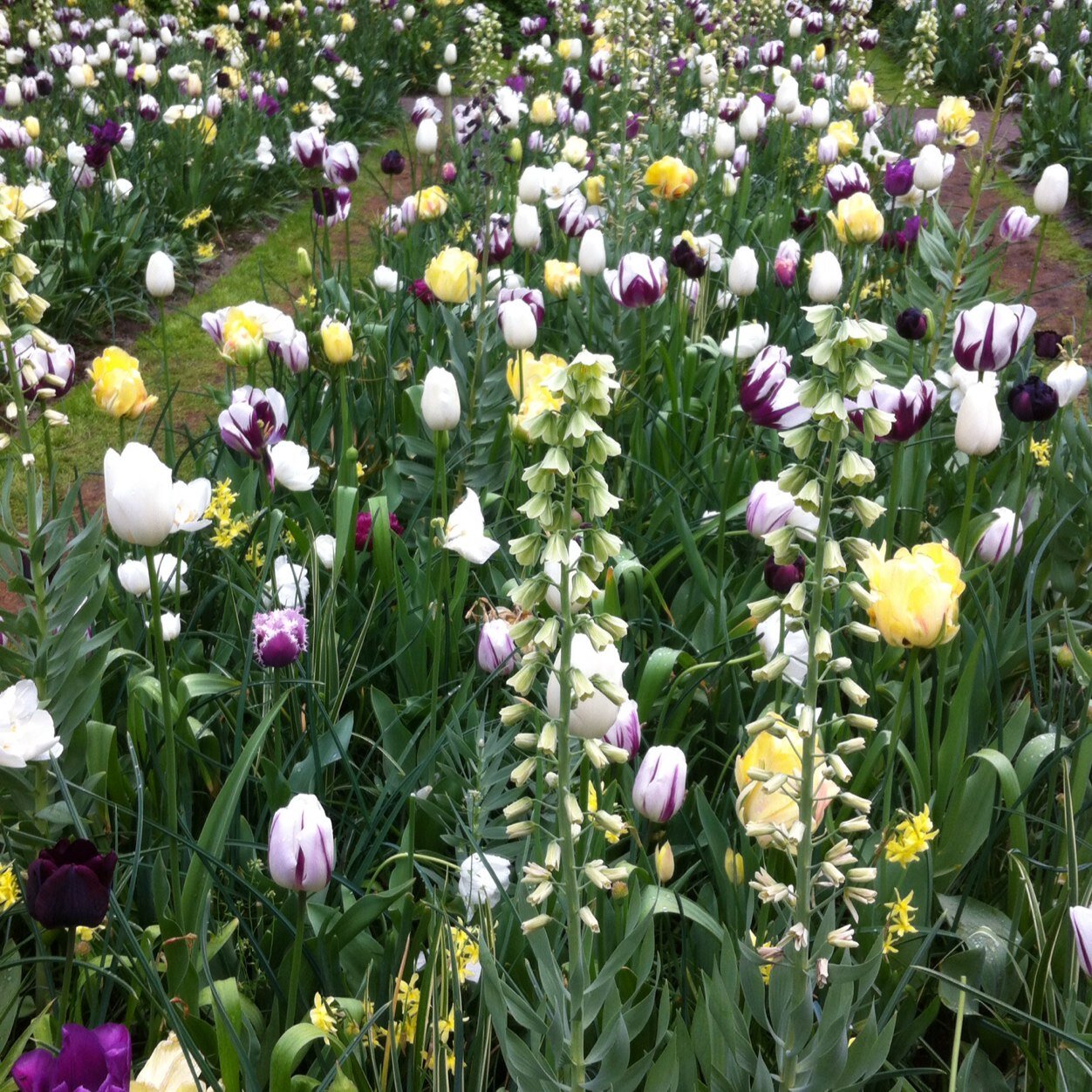 janeyeliz's profile picture. 