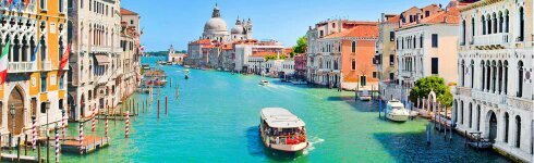 GinosTn's profile picture. 