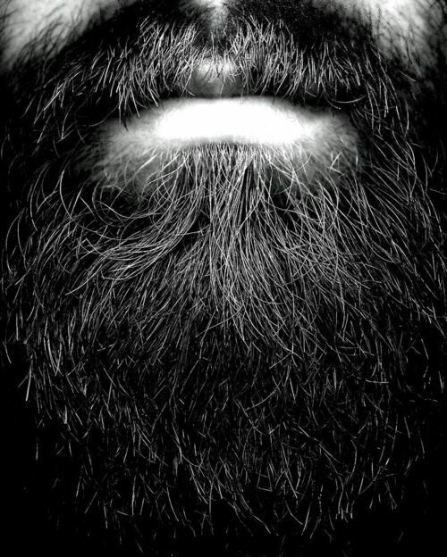 HackneyBeards's profile picture. 