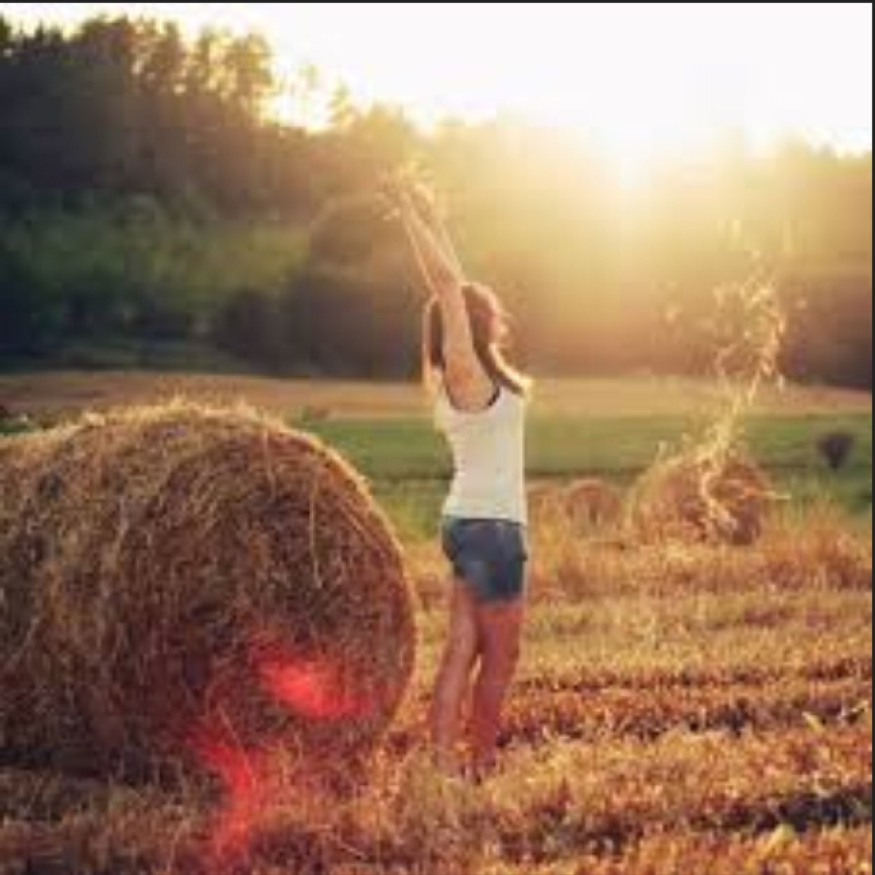 SouthBrunette69's profile picture. Confessions of a Southern Brunette.