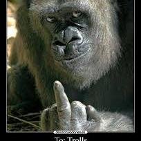 alas_bocah's profile picture. pengangguran sukses