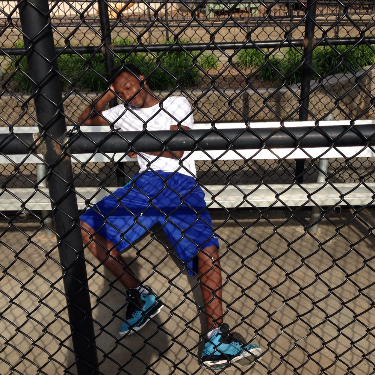 #FreeBluffGang