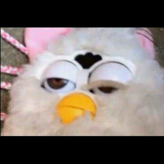 b_onniep_arker's profile picture. professional muse