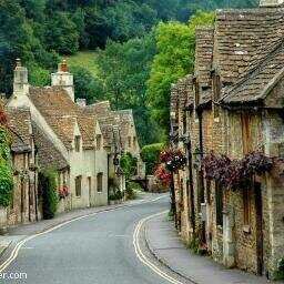 AyseHaskarakus's profile picture. 