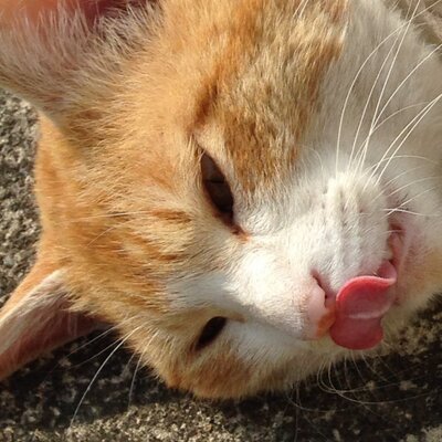 みつ。は主腐友欲しいのプロフィール写真