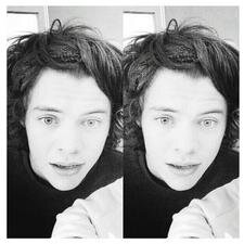 harrysd0rito Profile Picture