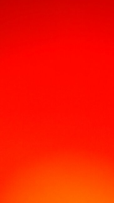 PelinaPtrxl's profile picture. 