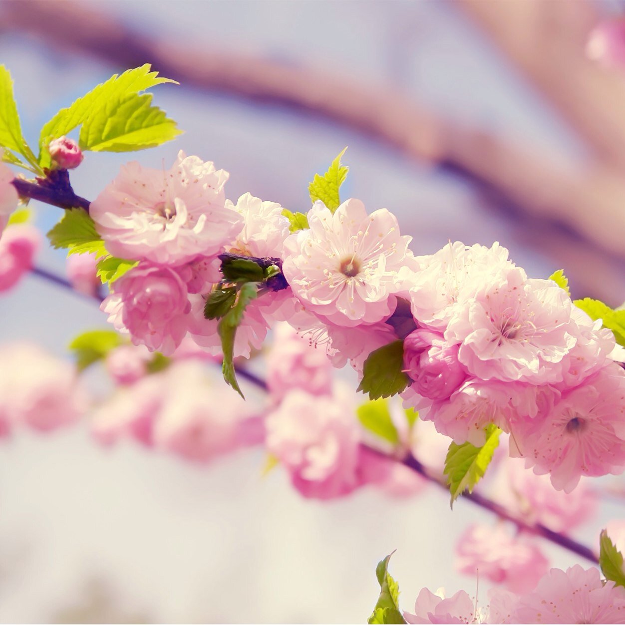 Check out my blog!
