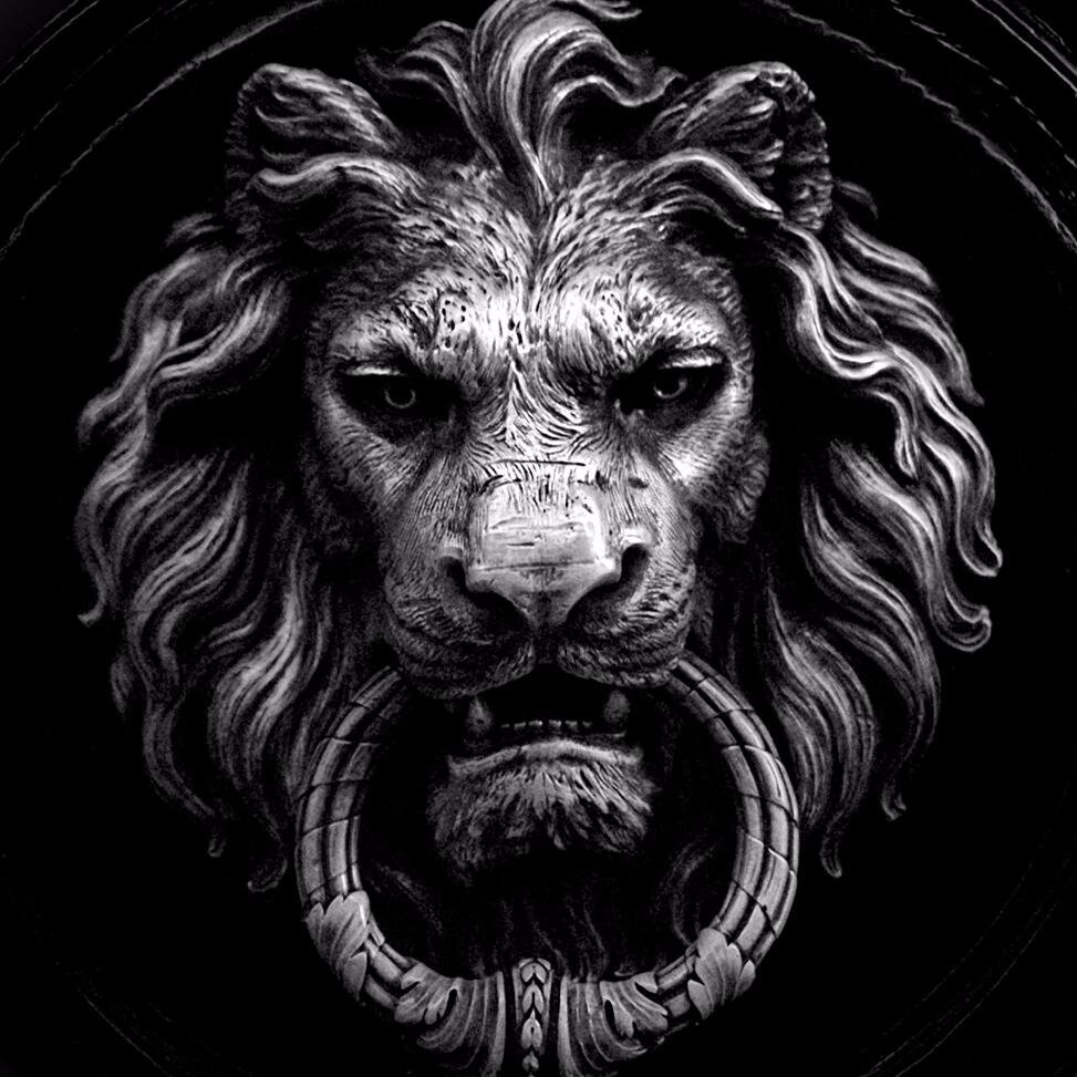 NovoFive's profile picture. A different kind of leadership practice.