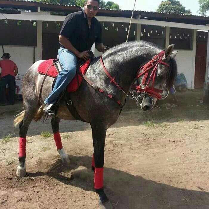 Linaje escogido por Dios! hijo del altísimo!