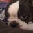 Mrs_Reynolds62's profile image