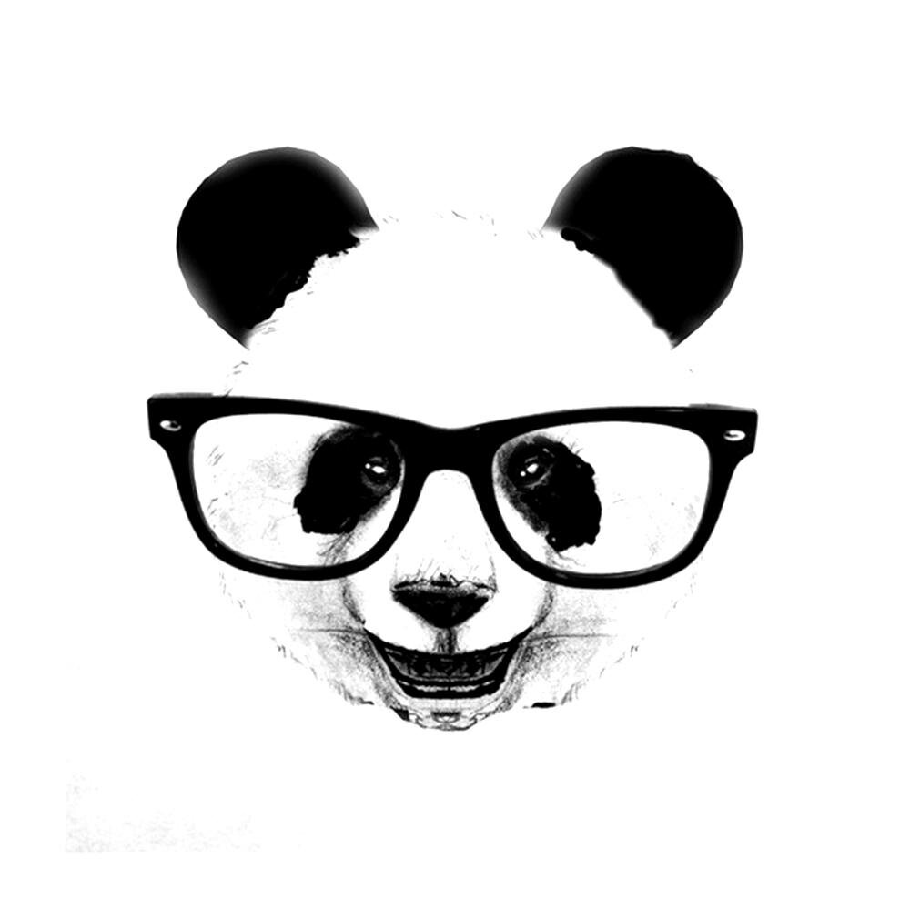 Pandas: um novo jeito de ver o mundo