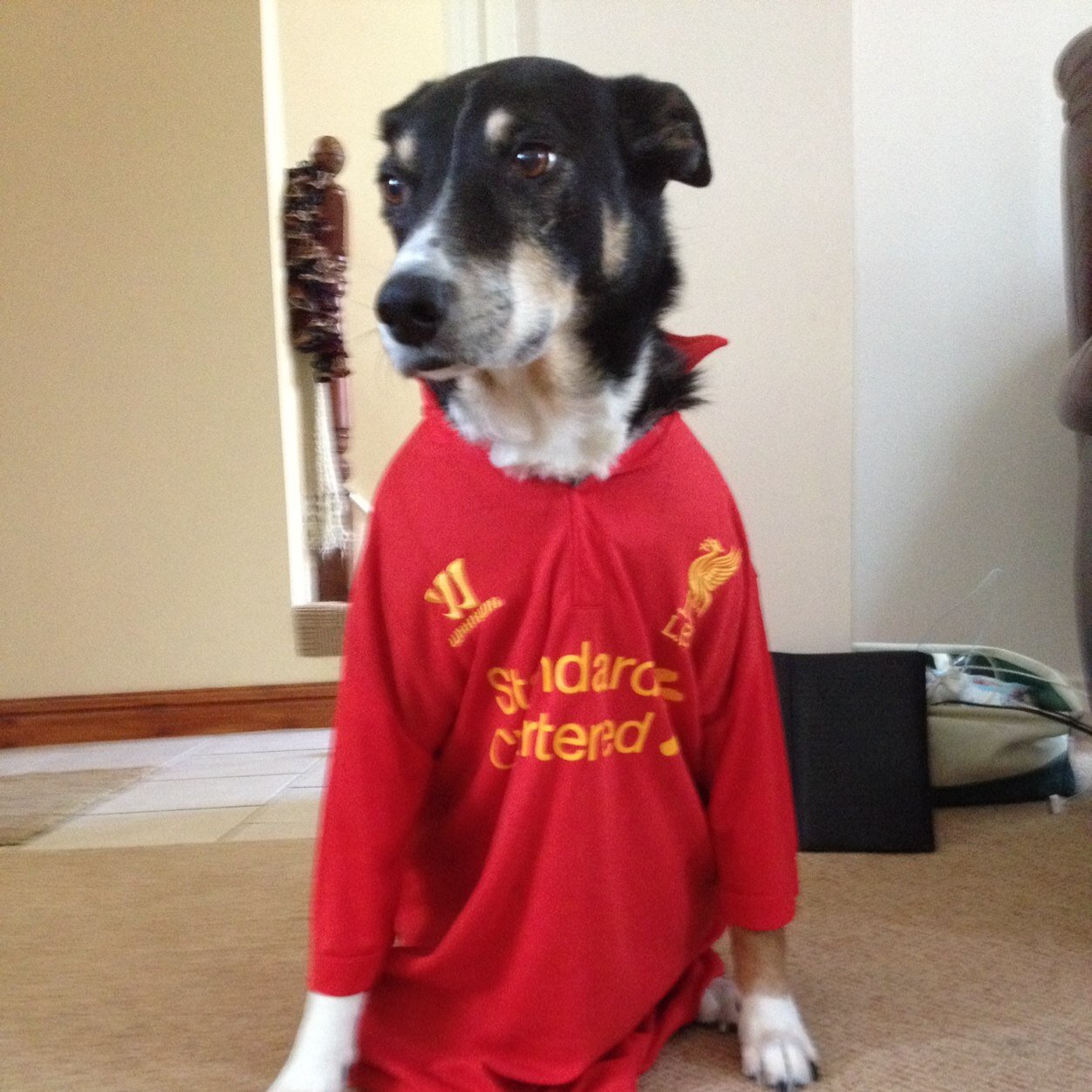 YNWA    🏆🏆🏆🏆🏆🏆 
🏴󠁧󠁢󠁷󠁬󠁳󠁿