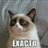 spaguetidelrock's profile image