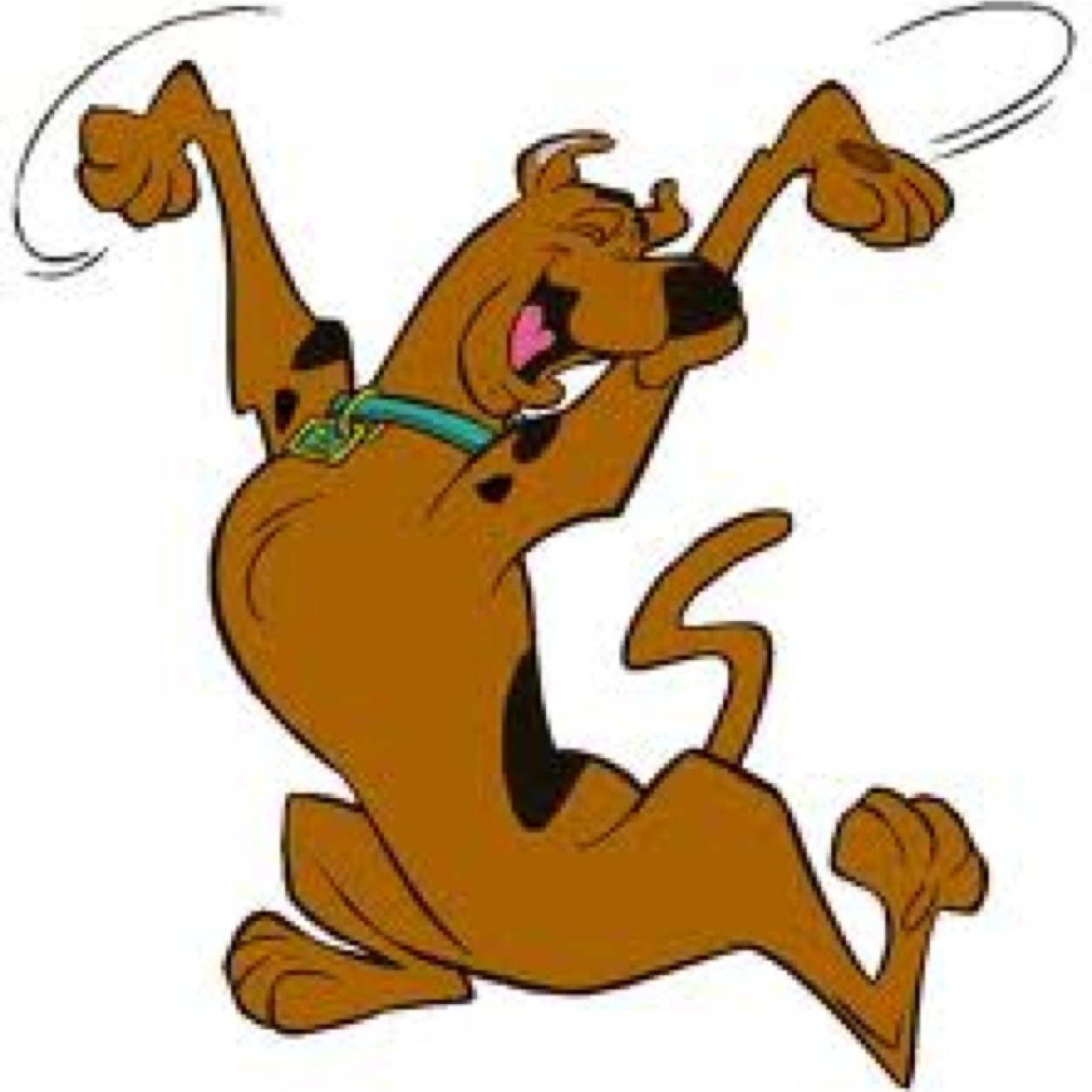 Spanish and English teacher, IHSSA coach, traveler, reader, learner, pet owner, I enjoy movies, music, tv, conversation, family, and a good belly laugh
