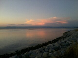 dhcorn_serenity's profile picture. 