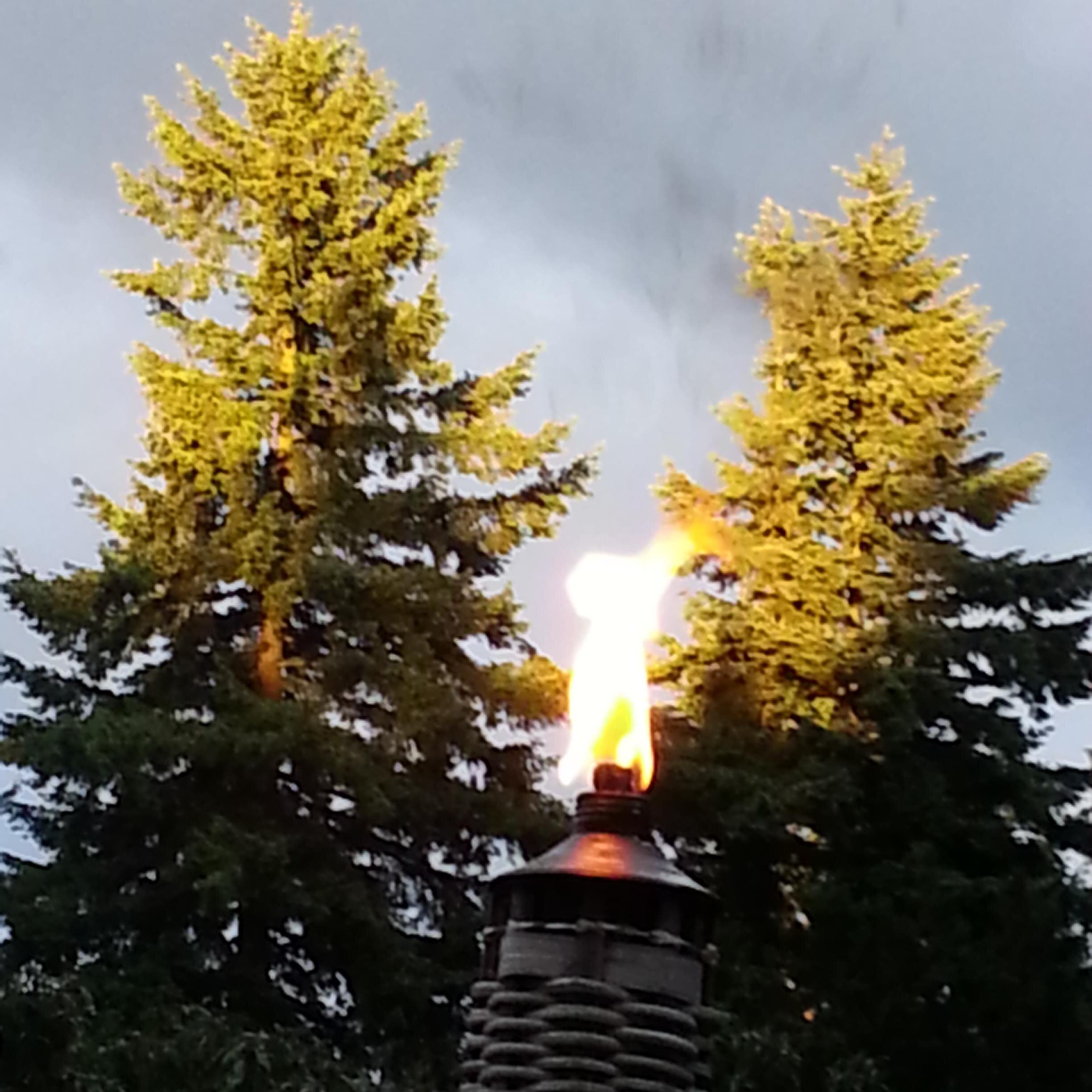 PNWDreamHome's profile picture. Beauty from the inside out, life coaching, transformation, success and wealth cultivation.