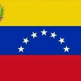 ivonnercamps's profile picture. 