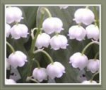 DCHR's profile picture. 