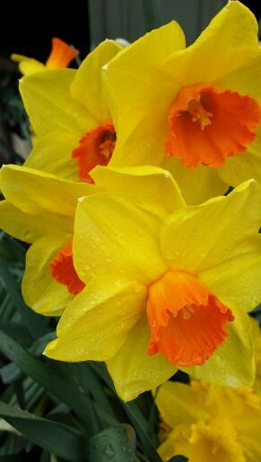 JenDav75's profile picture. 