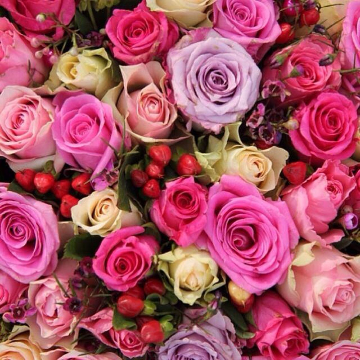 betluci's profile picture. Just waiting fot the right moment ✌️