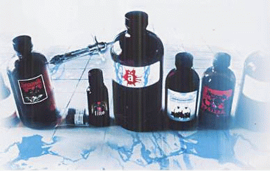 tchit_cheat's profile picture. Serendipiteur