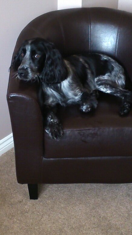 BizylizzieJane's profile picture. 