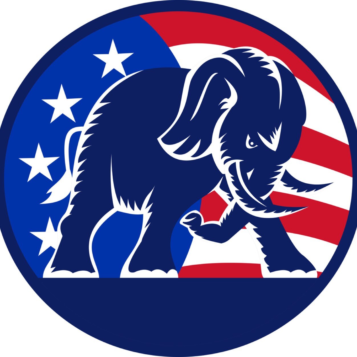 Anti-socialism, pro-capitalism, advocate for all constitutional rights that predate the current regime by generations. Know who you're voting for please!
