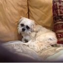 Deborah McCauley - @McCauleyDeb - Twitter