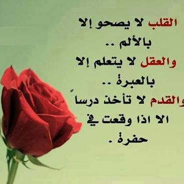 hasson401's profile picture. 