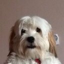 trisha mccarthy - @trishaeamonn - Twitter